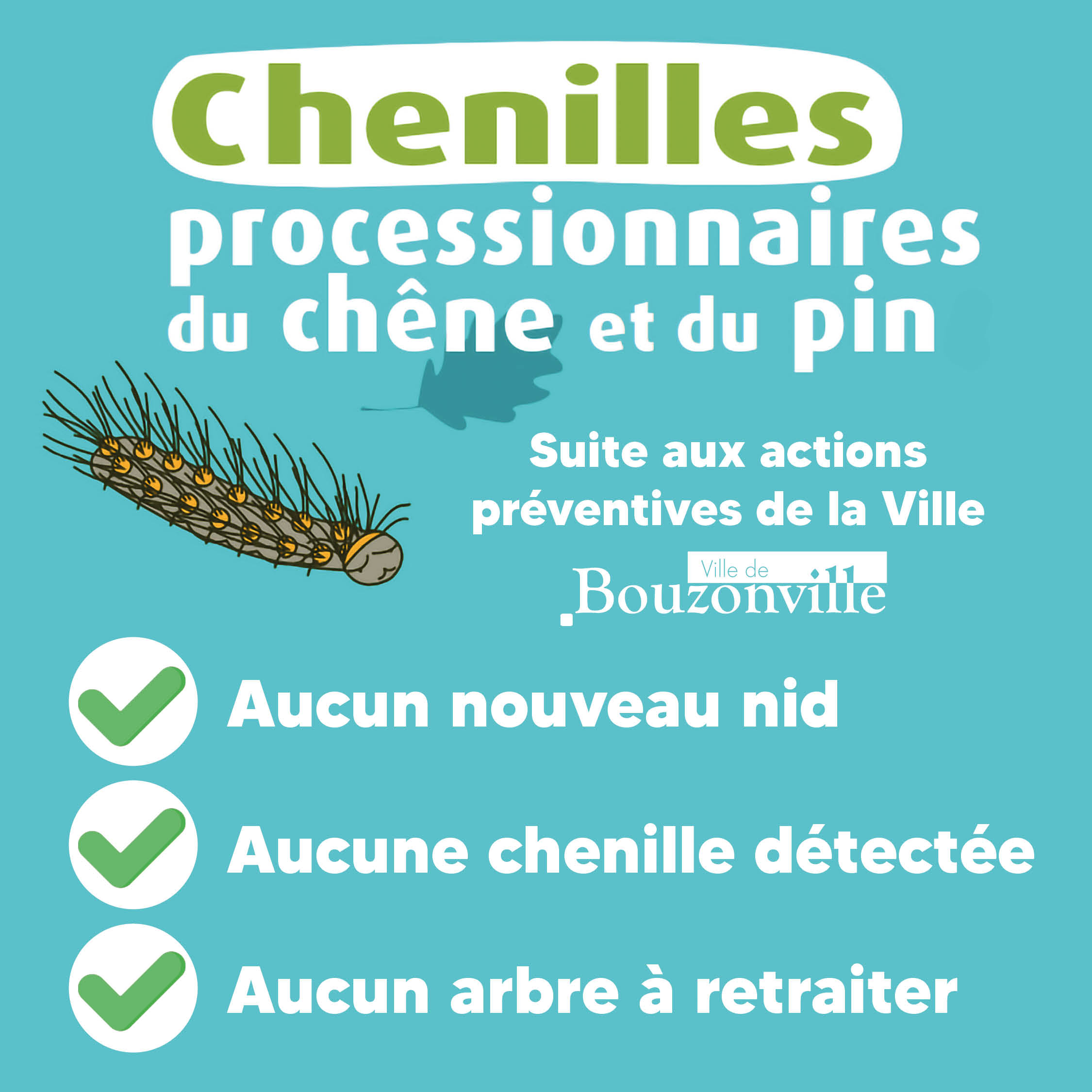 Chenilles processionnaires